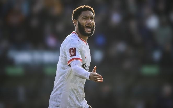 和谐共存 和谐共存